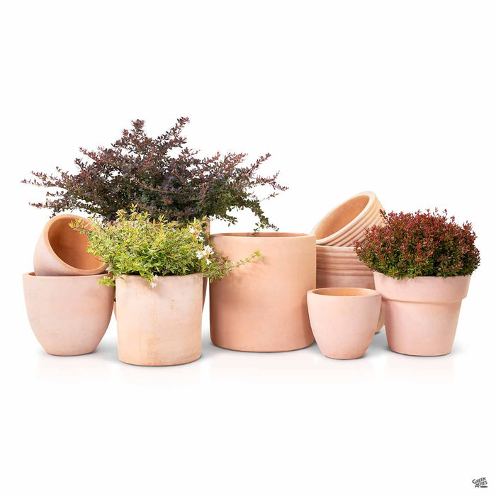 North Coast Pottery in a variety of shapes and sizes.