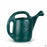 Novelty Classic Green Watering Can 2 gallon