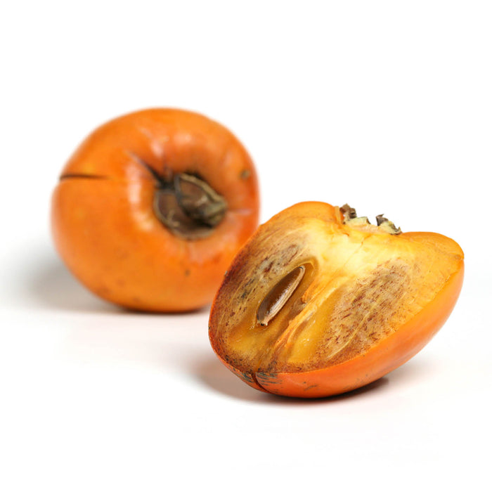 Persimmon 'Chocolate'