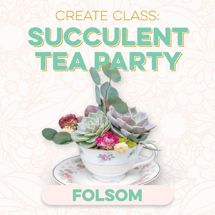 CREATE Class: Succulent Tea Party in Folsom