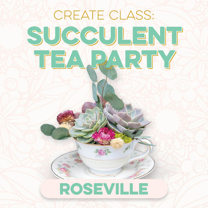 CREATE Class: Succulent Tea Party in Roseville
