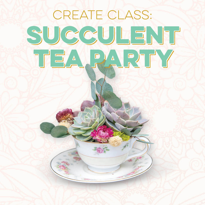 CREATE Class: Succulent Tea Party