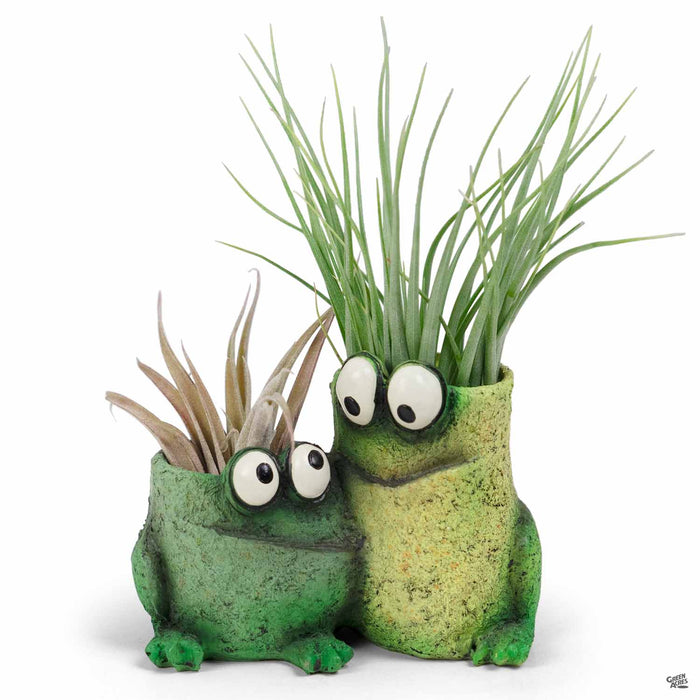 Frog Pals Animal Planter