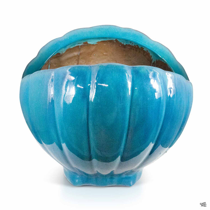 Cone Shell Planter 15 inch in Teal