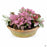 Notting Hill Newbury Terra Farm Pot Redstone 5.9 inch