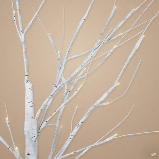 Light Up Birch Tree