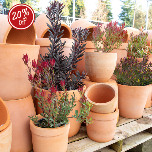 Amalfi Collection by Northcoast Pottery