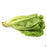 Green Romaine Lettuce leaves