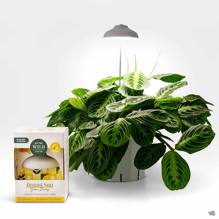 indoor plant sun lamp Instant Sun Grow Lamp — Green Acres Nursery & Supply