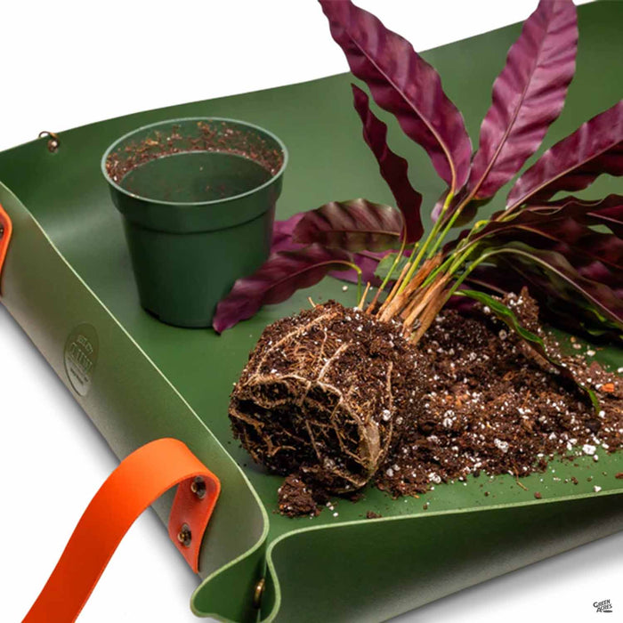 We The Wild Repotting Mat