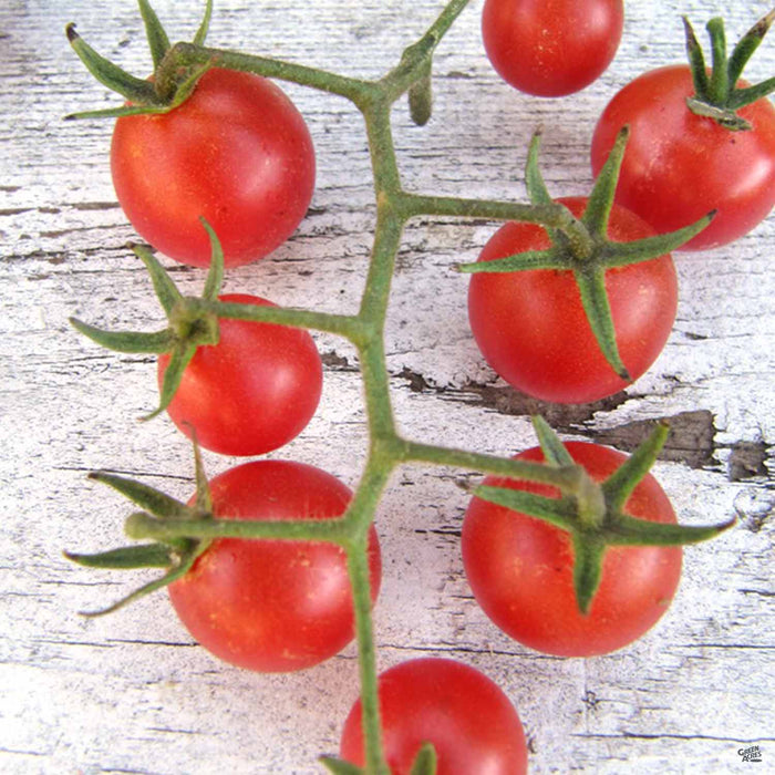 Wild Boar Farms Tomatoes Napa Rosé