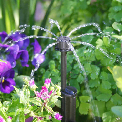 Irrigating with Antelco Shrubbler 360-degree spike