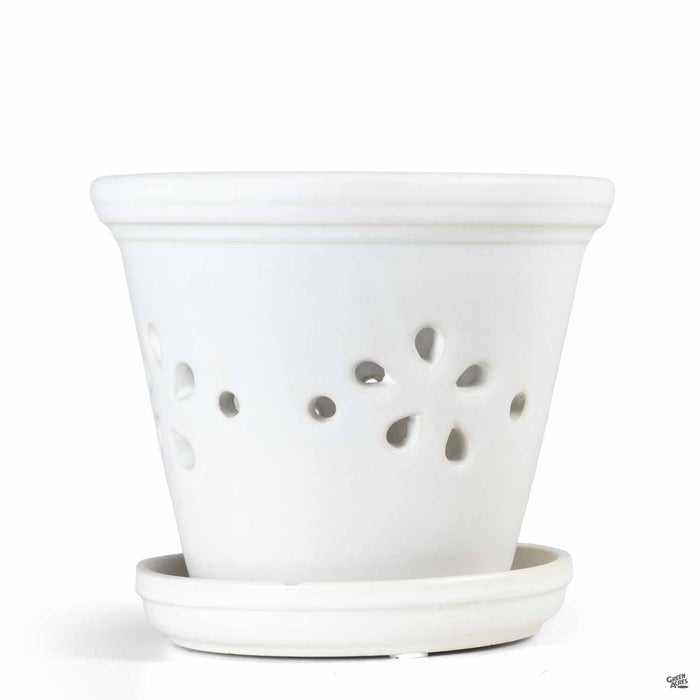 Daisy Orchid Pot 5.5 inch White