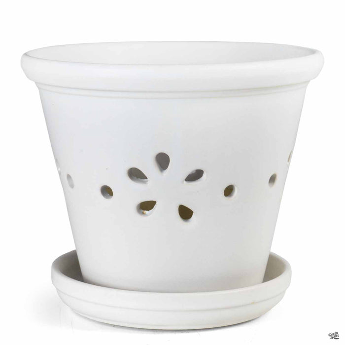 Daisy Orchid Pot 7.25 inch White