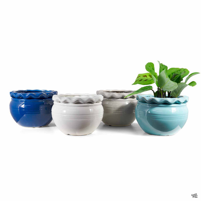 self watering rim planter Pie Rim Self-Watering Pot — Green Acres Nursery & Supply