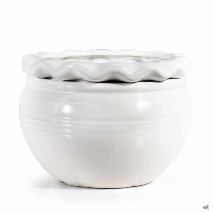 Pie Rim Self Watering Pot 6.25 inch White