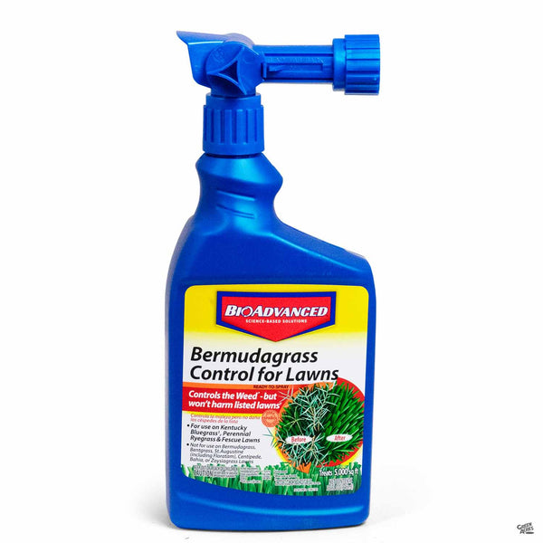Bayer-