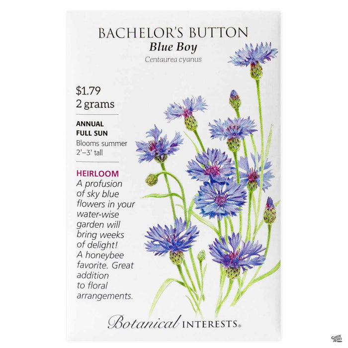 MrBrownThumb: How to Collect & Save Bachelor's Button Seeds