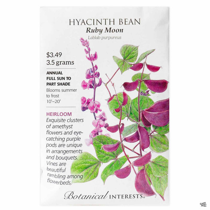 Botanical Interests Seeds Hyacinth Bean Ruby Moon