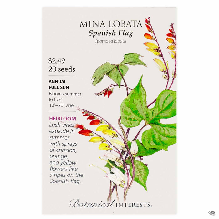 Botanical Interests Seeds Mina Lobata Spanish Flag
