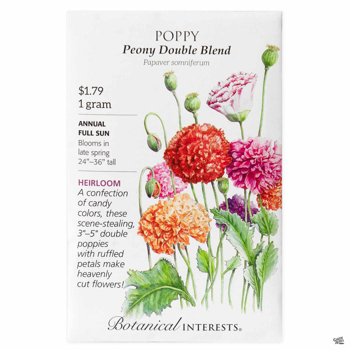 Botanical Interests Seeds Poppy Peony Double Blend