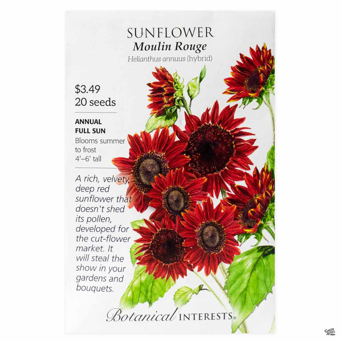 Botanical Interests Seeds Sunflower Moulin Rouge
