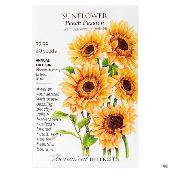 Botanical Interests Sunflower Peach Passion