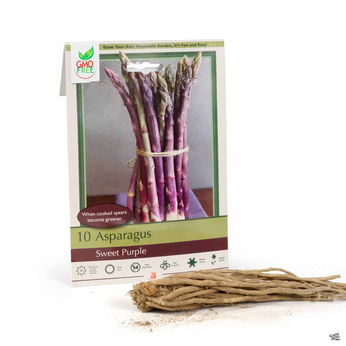 Asparagus Sweet Purple 10-pack