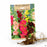 Alcea Charters Blend (Hollyhock) 3-pack