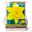 Daffodil Dutch Master Bulbs Package