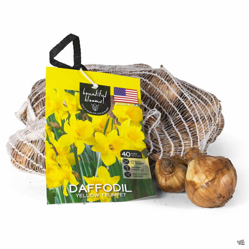 Daffodil 40-pack bag