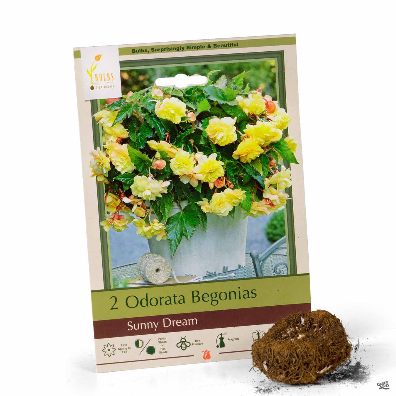 Begonia Bulbs