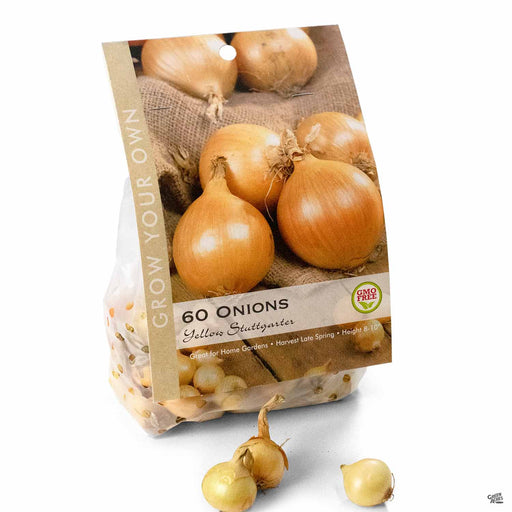 Onion Yellow Stuttgarter Bulbs Package