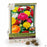Ranunculus - Persian Buttercups Ranunculus Tecolote Mixture 10-pack