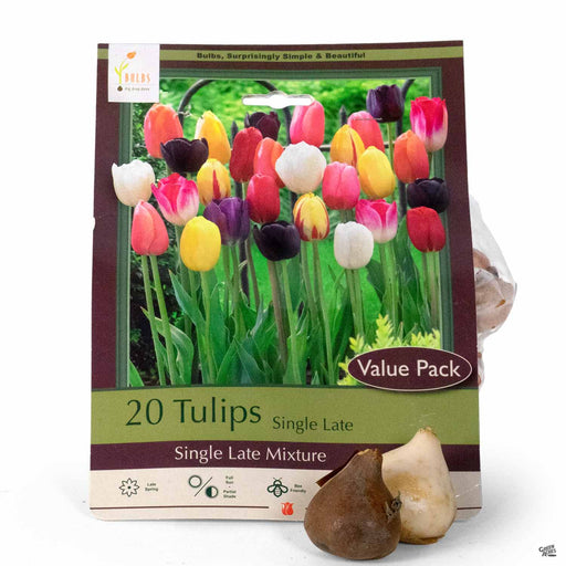 Tulips Single Late Mixture 20-pack