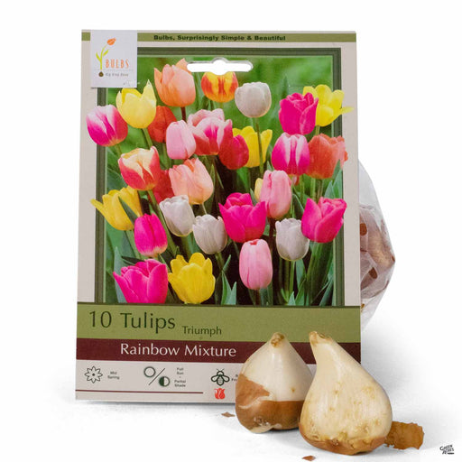 Tulips Triumph Rainbow Mixture 10-pack