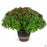 2022 Mums in Cache Pot