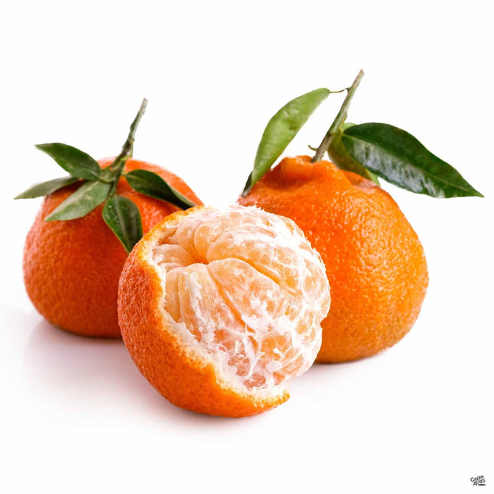 Owari Satsuma Mandarin Orange