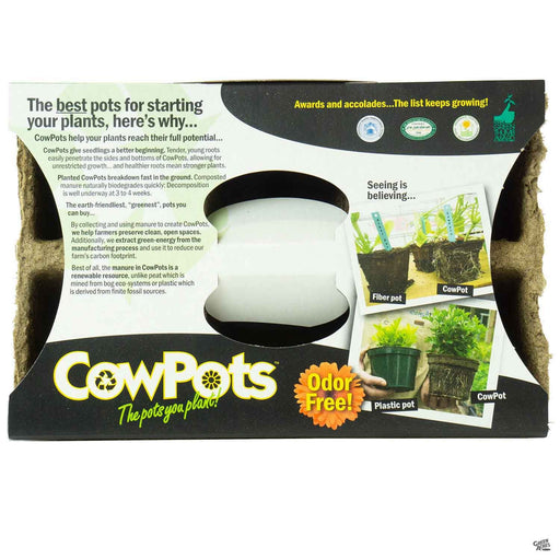 Cow Pots 3 inch (6 cell)
