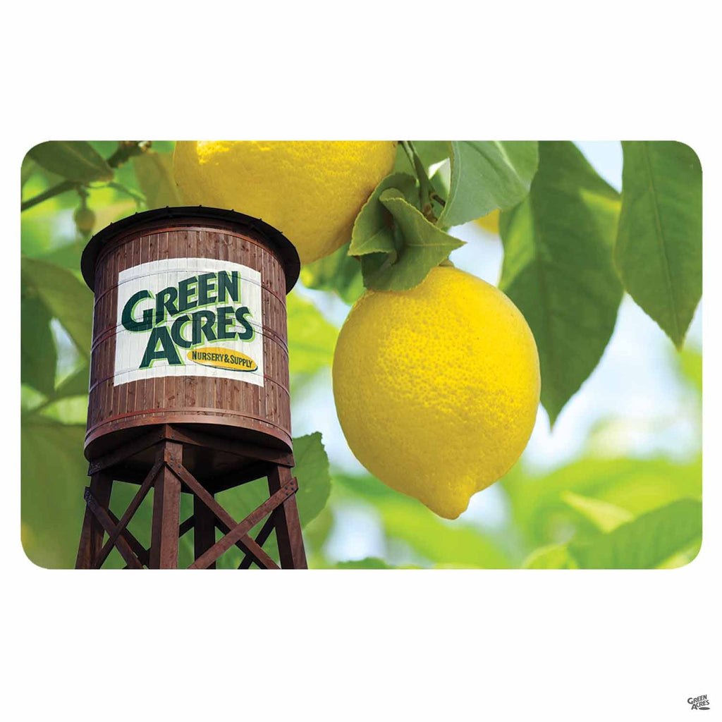 Gift Card | California