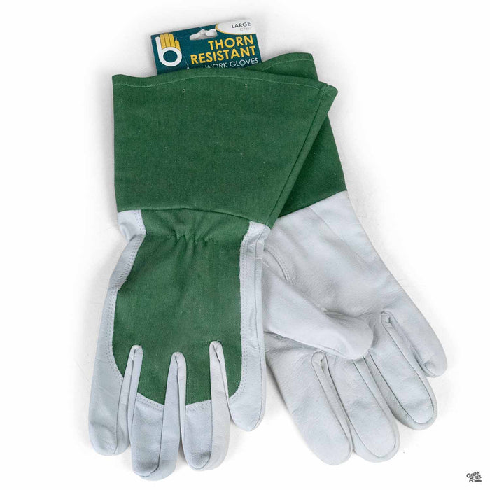 Bellingham Thorn Gauntlet Glove