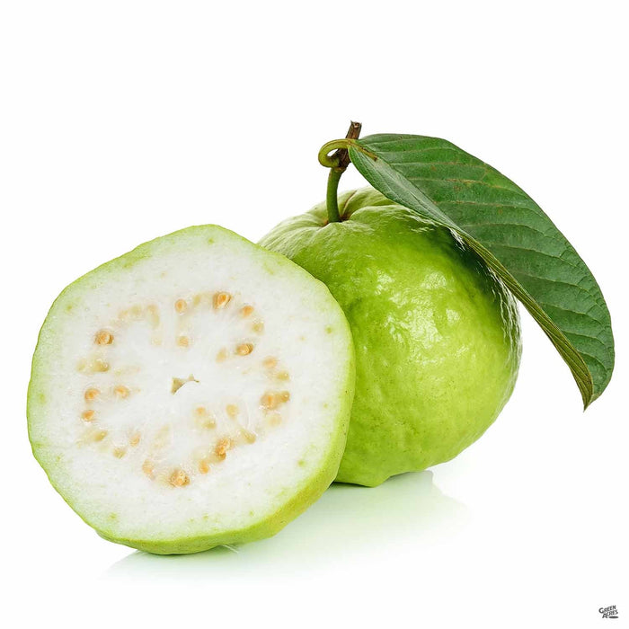 Tropical Guava fruit