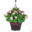 Spring 2021 Pink Petunia Hanging Basket