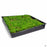 Green Carpet flat