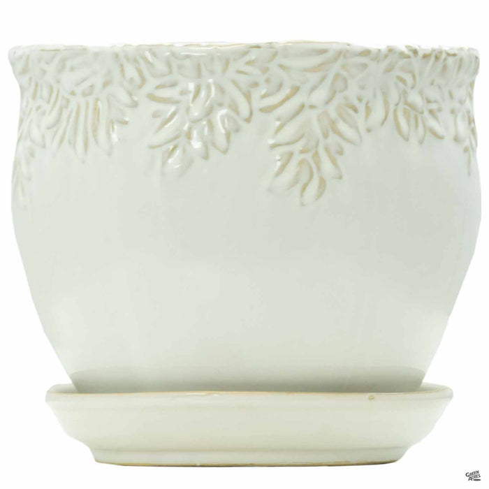 ivy league 5 in. small white ceramic self watering planter Ivy League Jardiniere — Green Acres Nursery & Supply