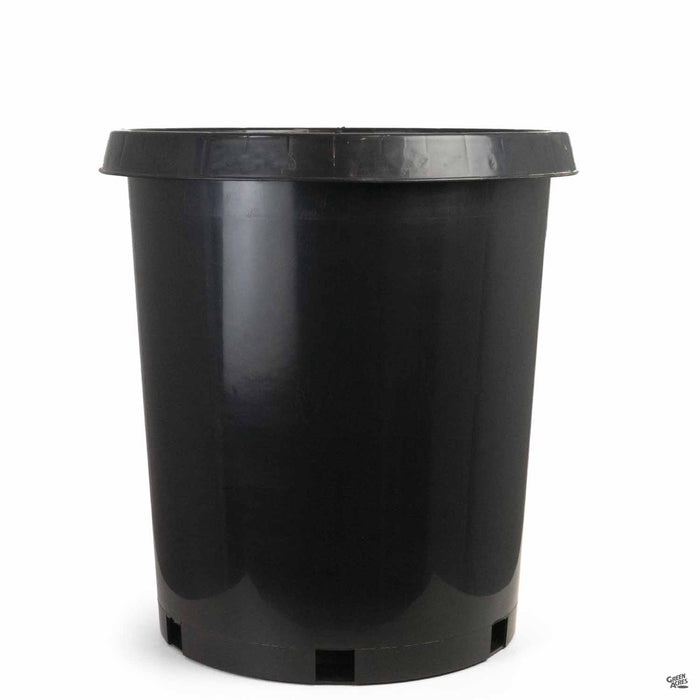 15 gallon plastic planter Nursery Pot — Green Acres Nursery & Supply