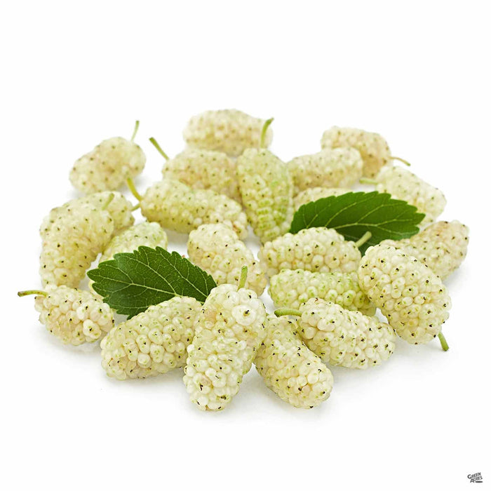Fruiting Mulberry White