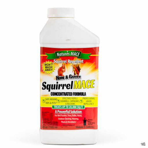 Squirrel Mace 40 ounce concentrate