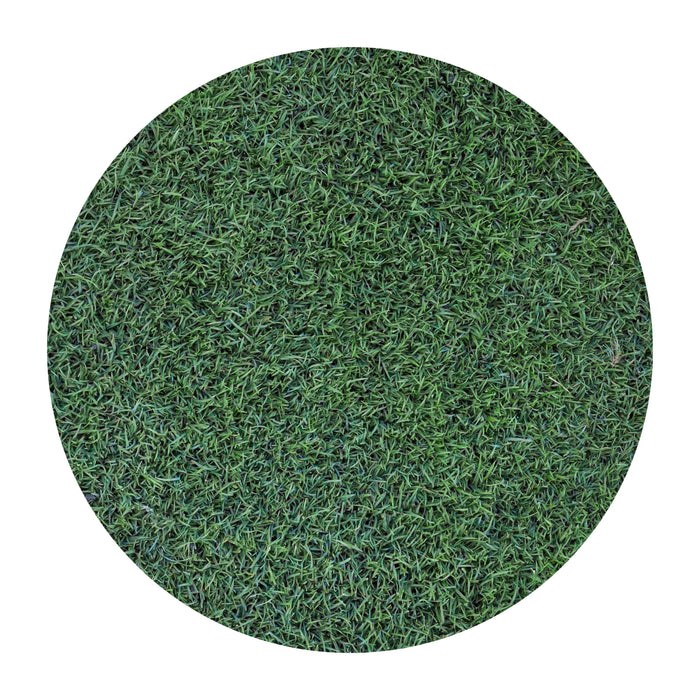 bent grass herbicide Penncross Bentgrass — Green Acres Nursery & Supply