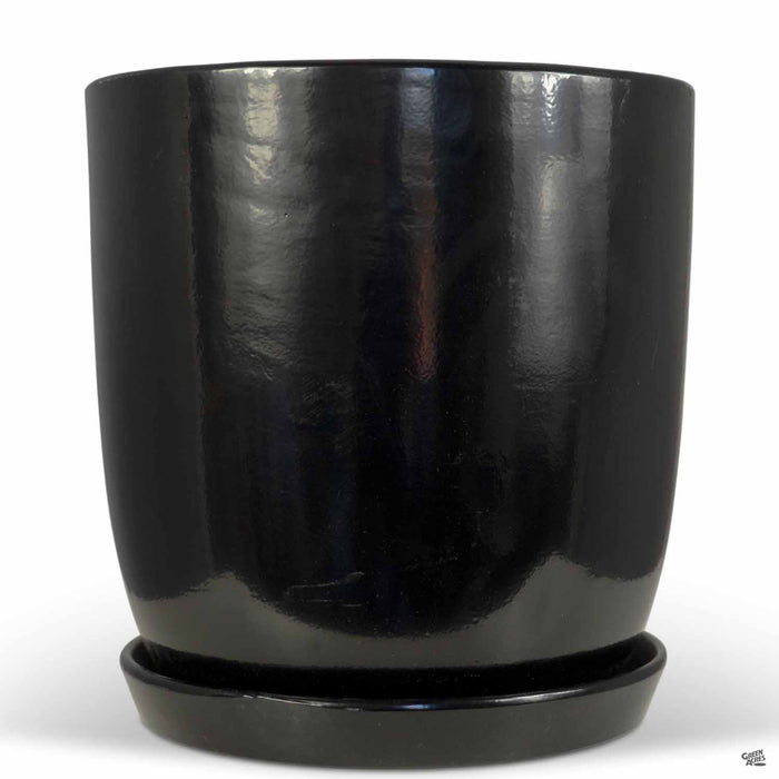 Eastham Egg Pots with Attached Saucer Shiny Black - 11.75 inch by 11.75 inch